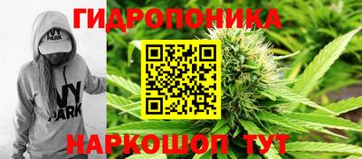 2c-b Обь