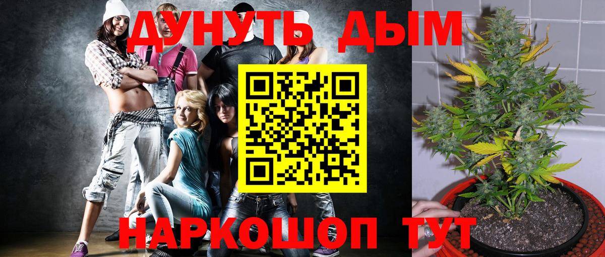 Шишки марихуана марихуана  Вход с VPN  Тавда  Бошки марихуана семена  МАРИХУАНА ГИДРОПОН 